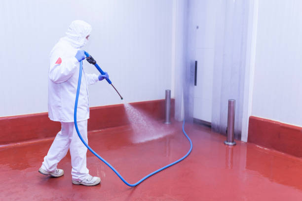 Best Warehouse Cleaning  in Orinda, CA
